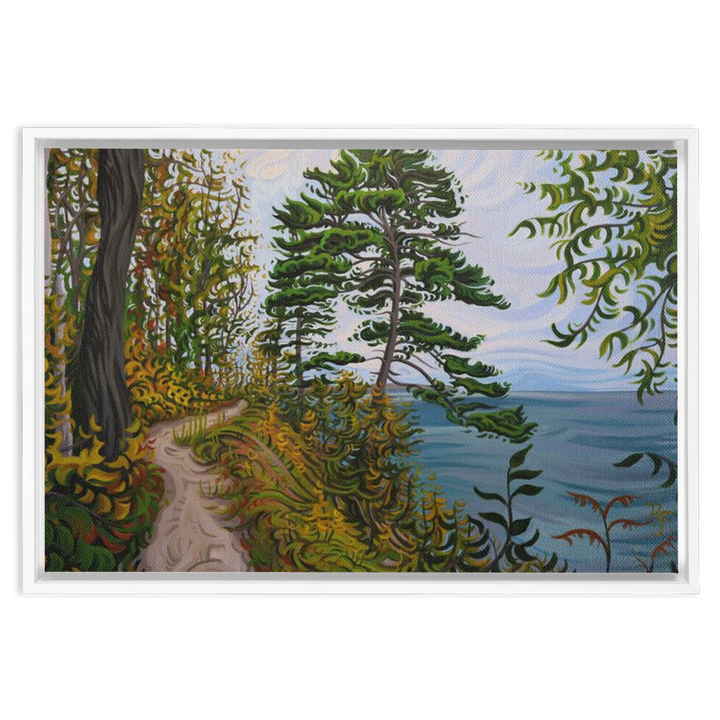 Along the Path - Framed Canvas Print