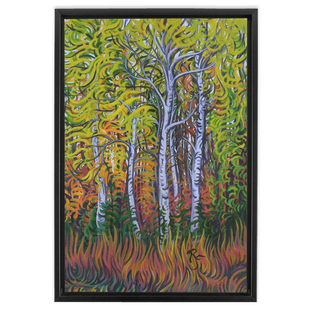 Birch Grove - Framed Canvas Print