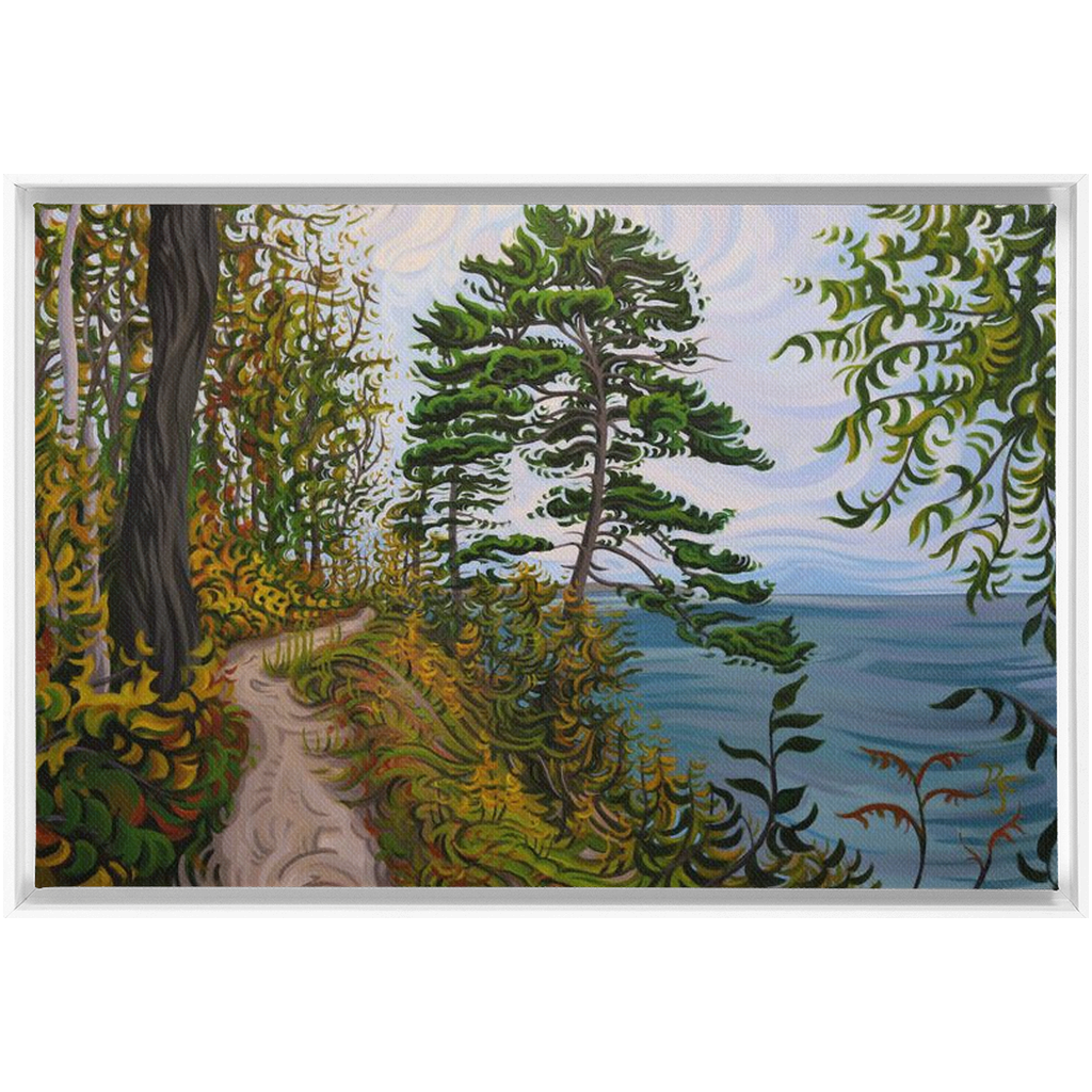 Along the Path - Framed Canvas Print