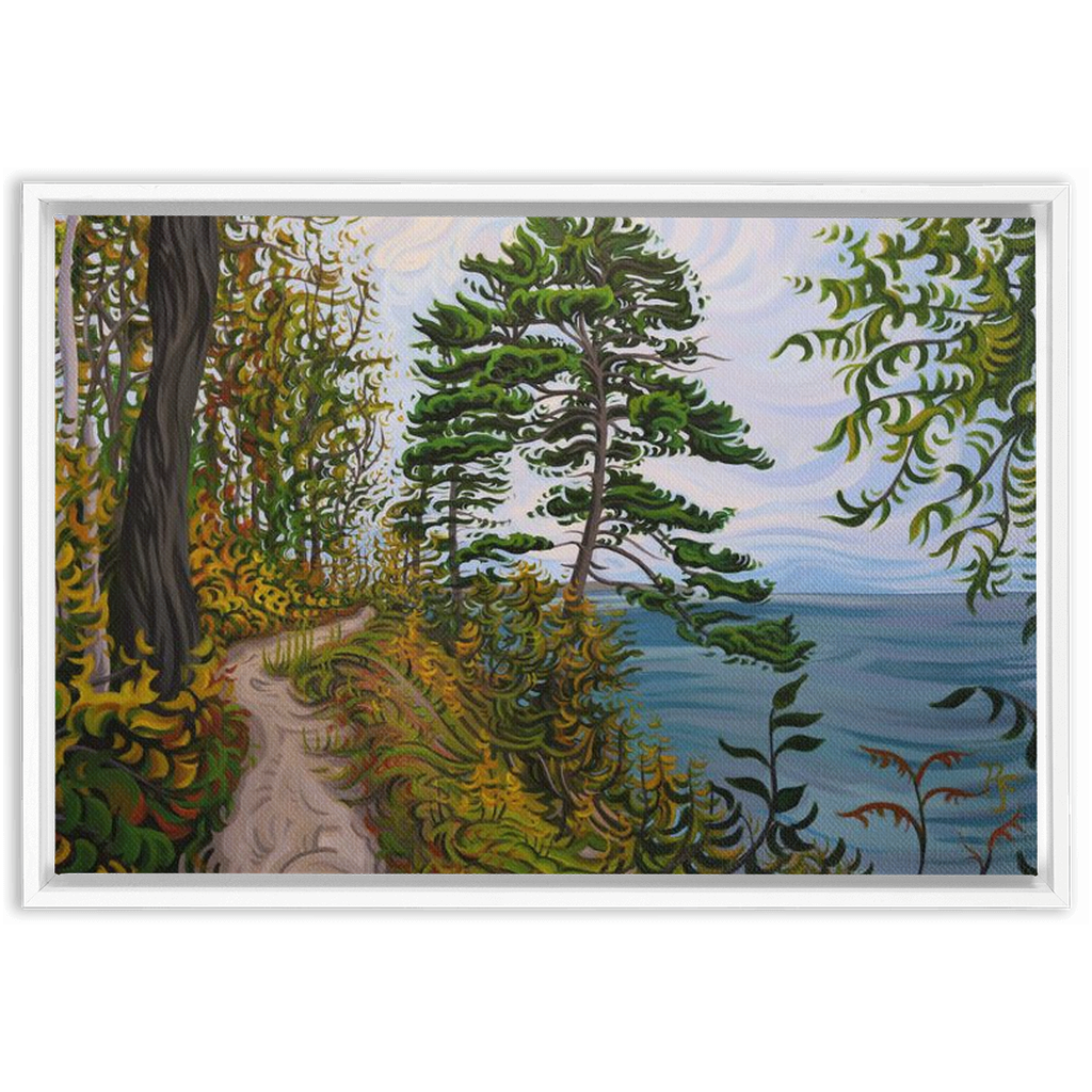 Along the Path - Framed Canvas Print