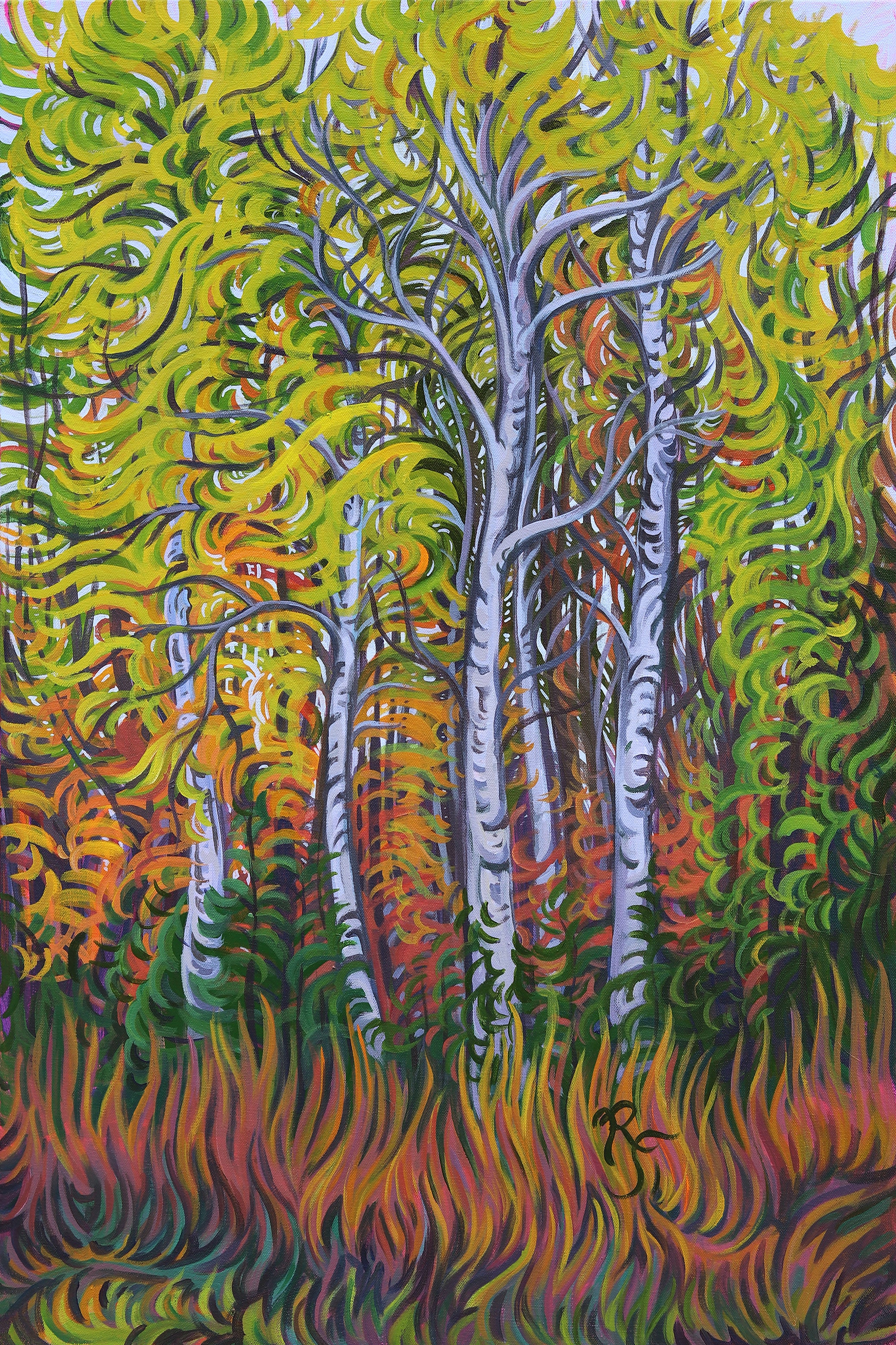 Birch Grove Fine Art Paper Print