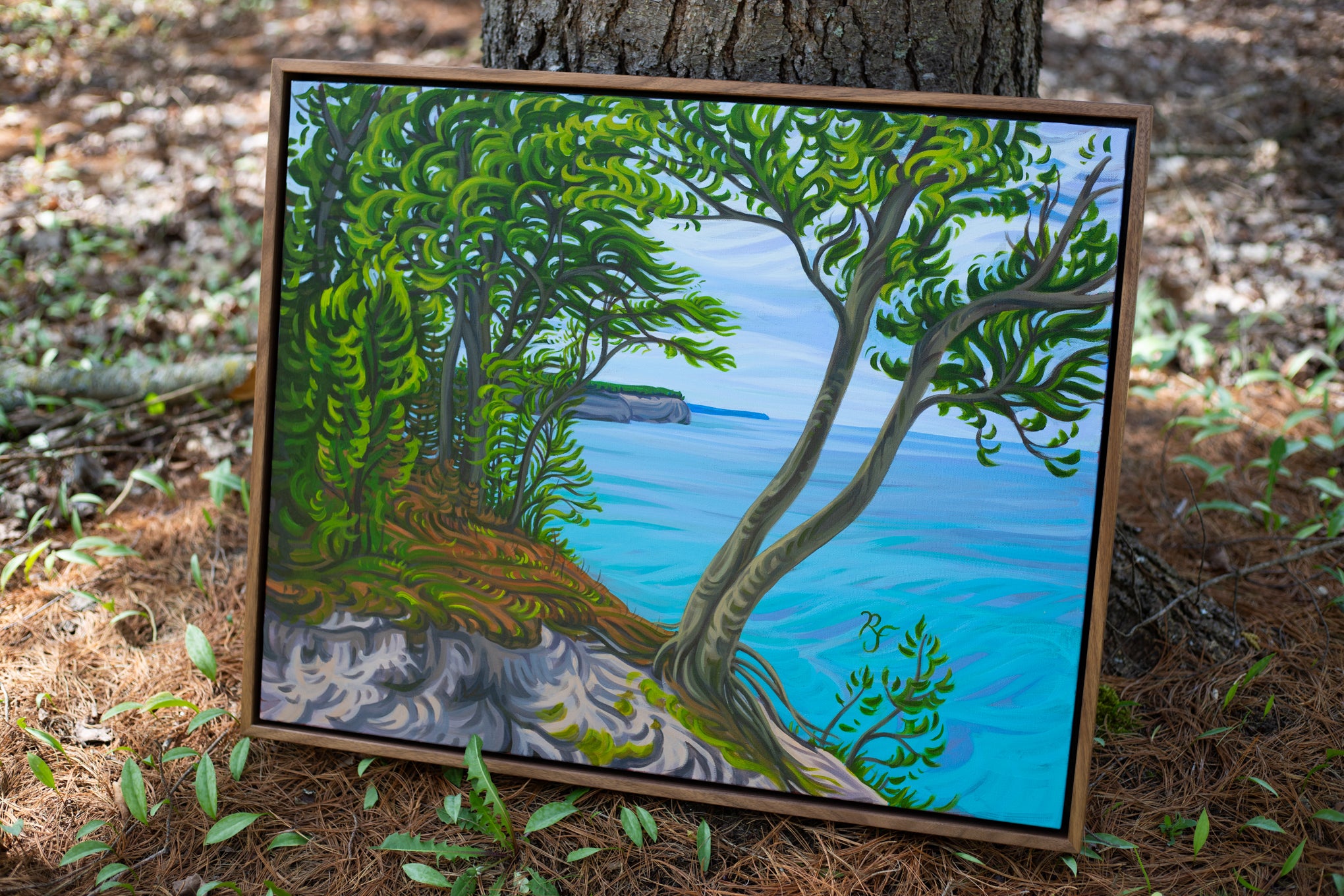 Eternal Life 24" x 30" Pictured Rocks Shoreline