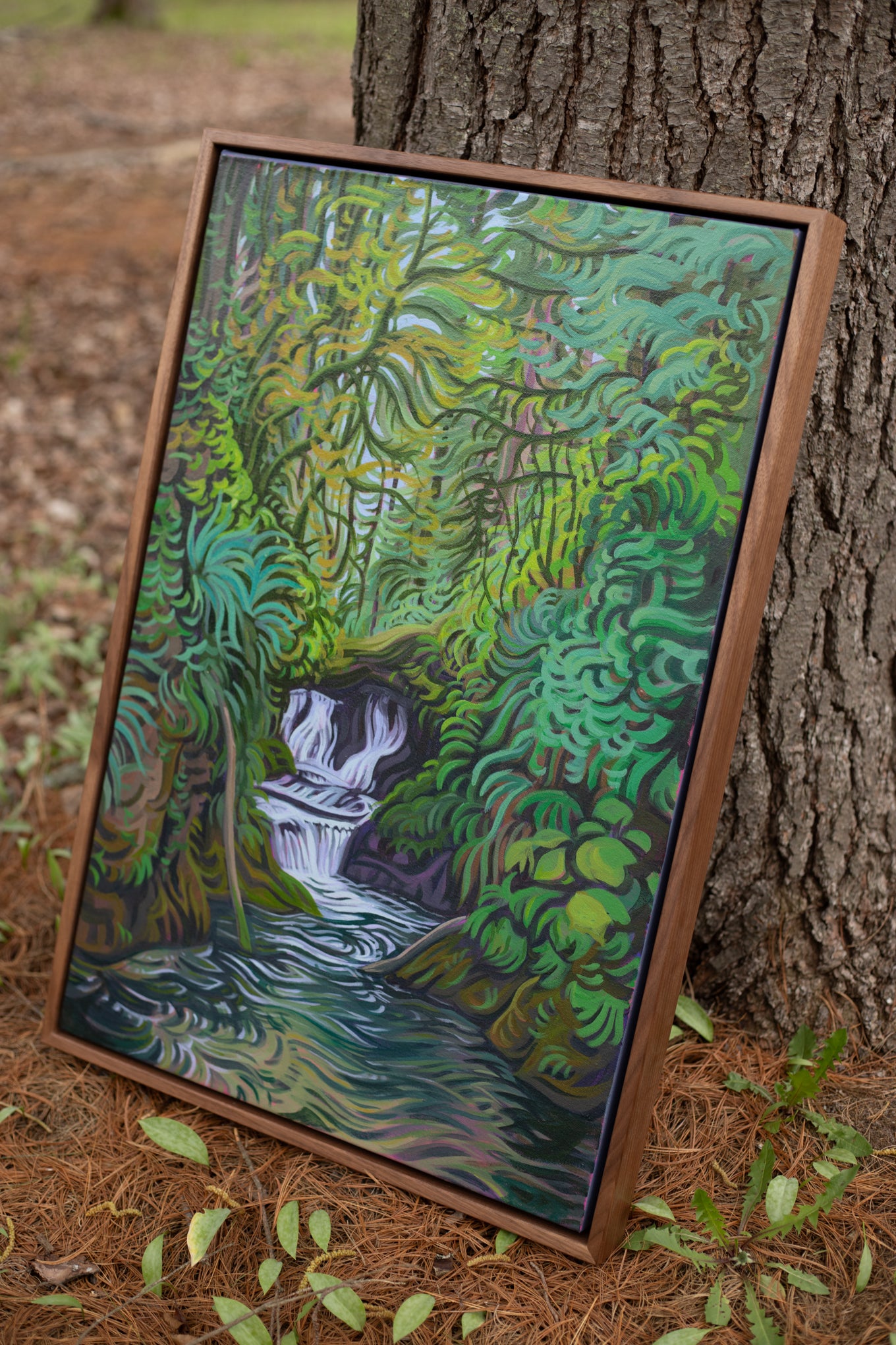 Gentle Whispers 30" x 20" Olympic National Park Waterfall