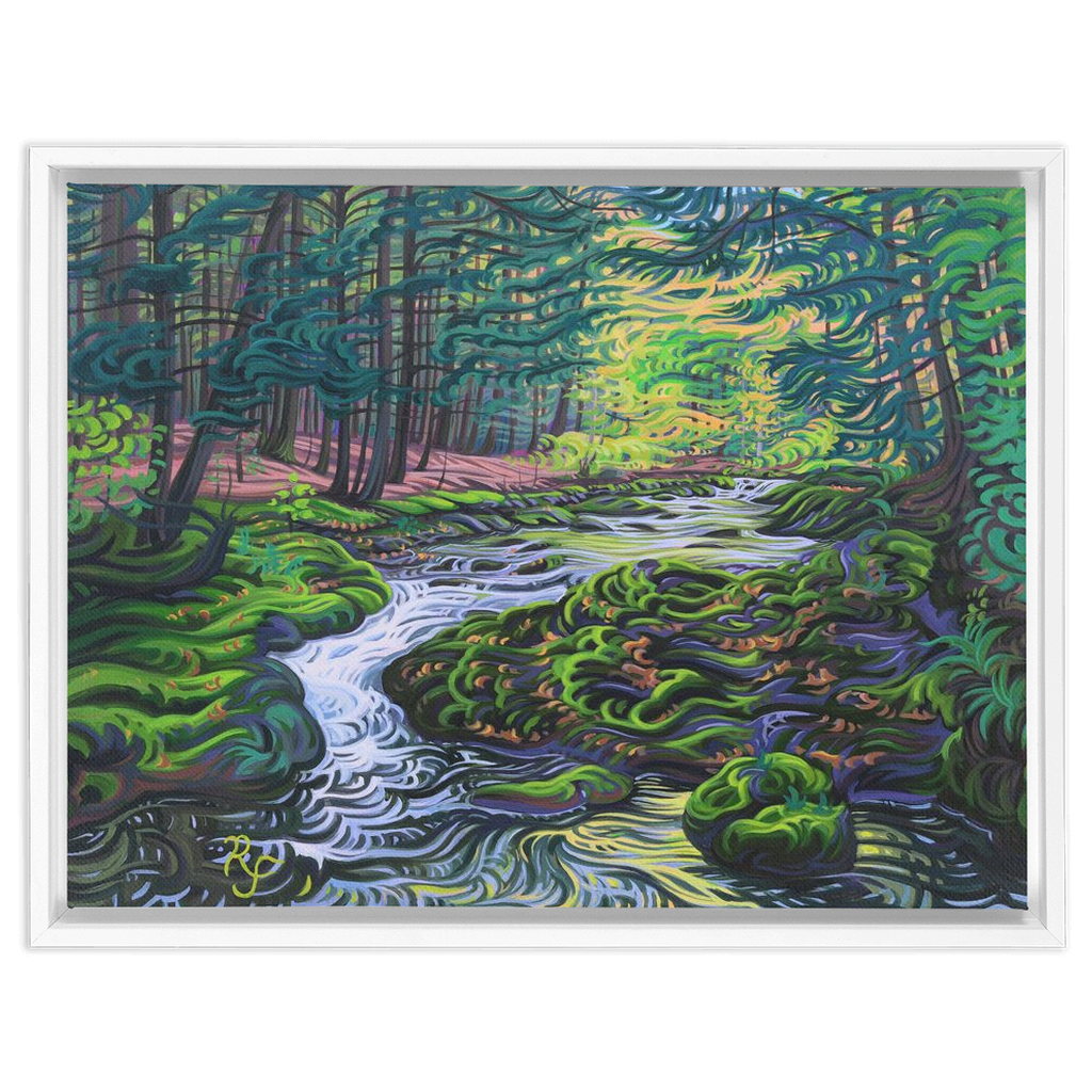Water of Life Framed Canvas Print - Porcupine Mountains River