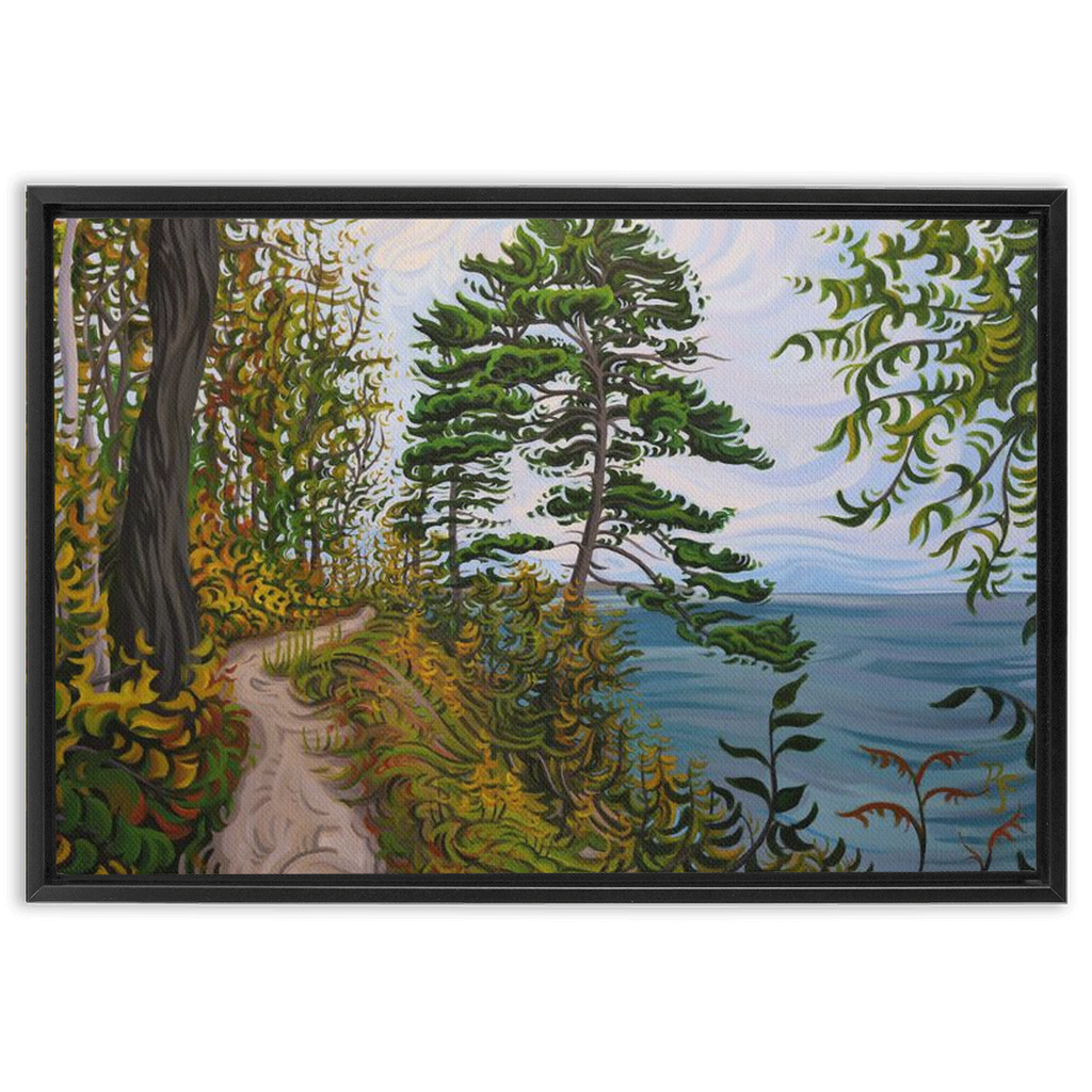 Along the Path - Framed Canvas Print