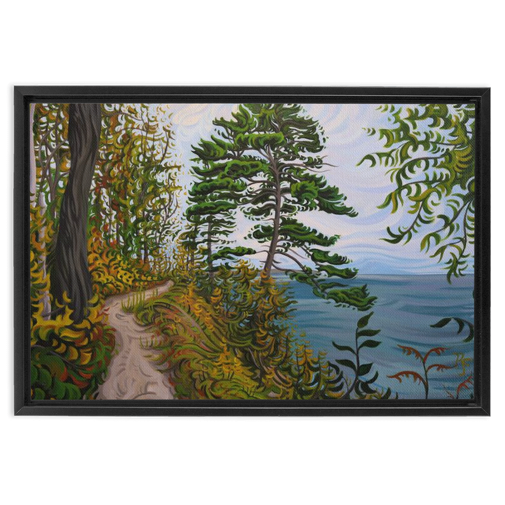 Along the Path - Framed Canvas Print