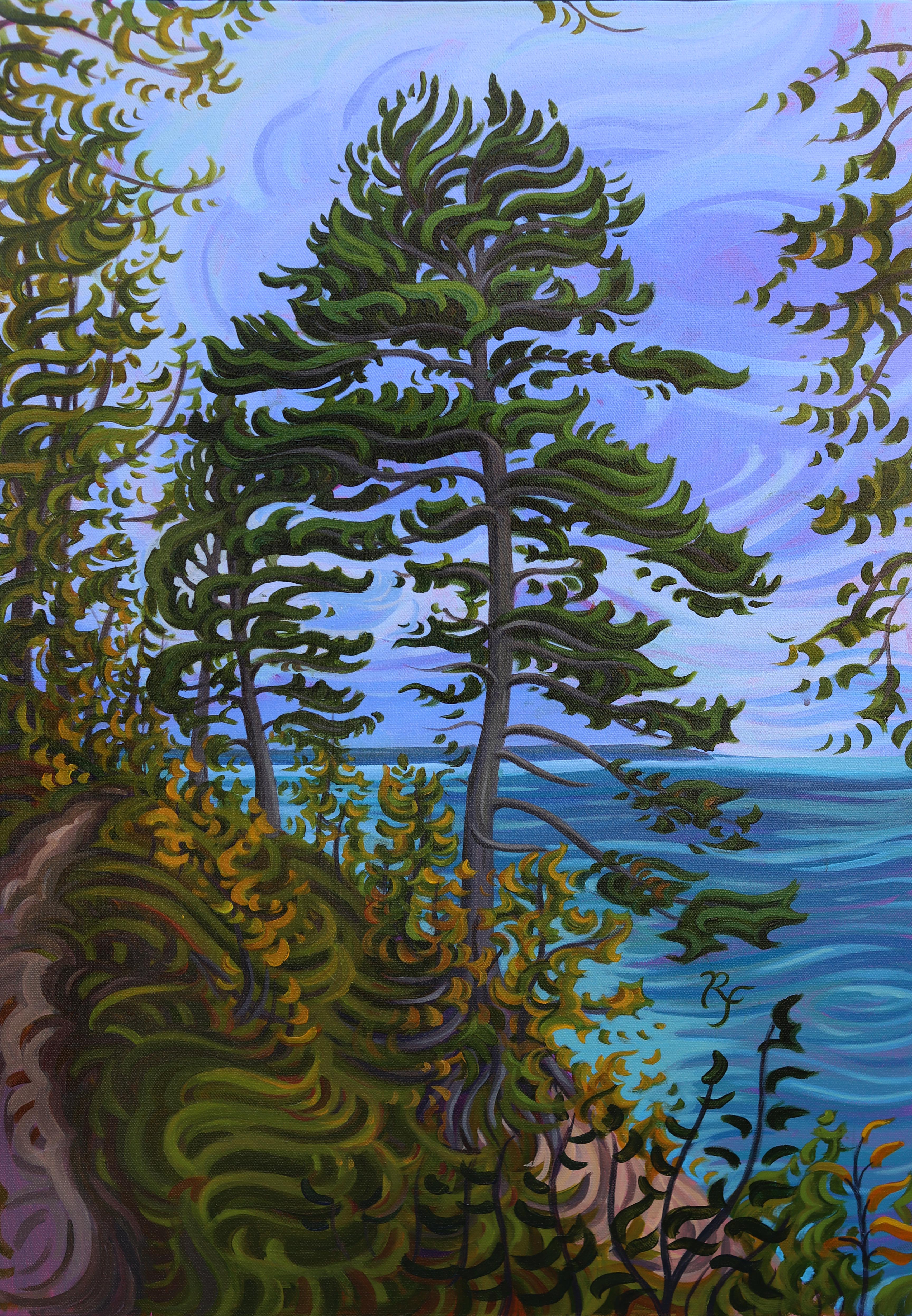 Strong Roots - Michigan’s Pictured Rocks and Pine Trees