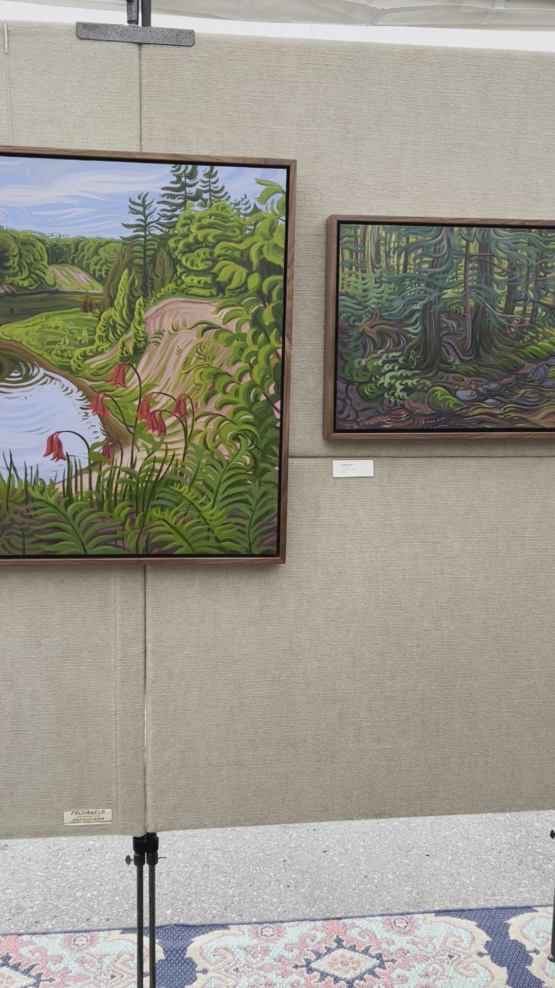 Michigan Pine Trees, Moss and River