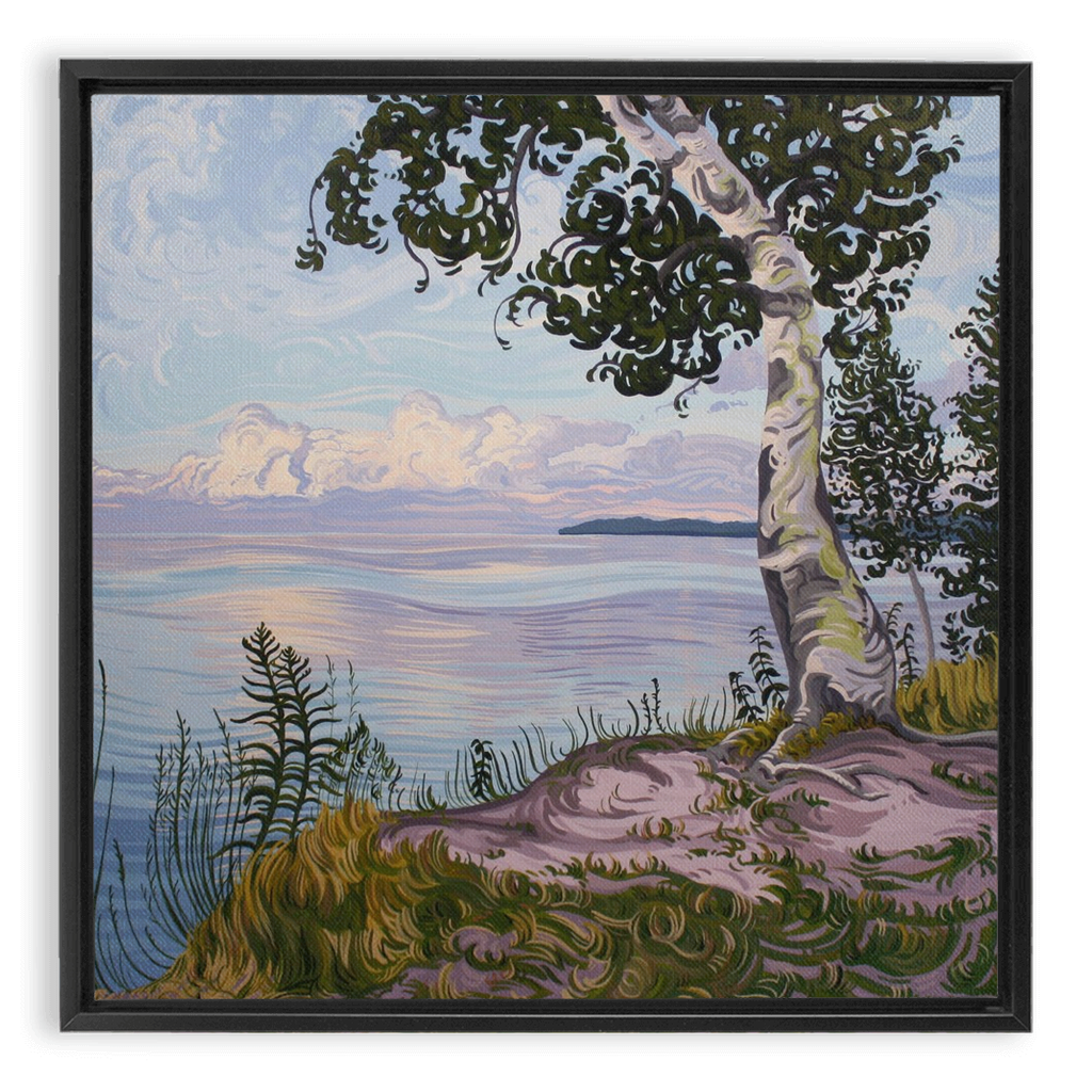 Lake Superior Birch Tree Sunset Painting, Framed Canvas Print - “With Love Things Grow”