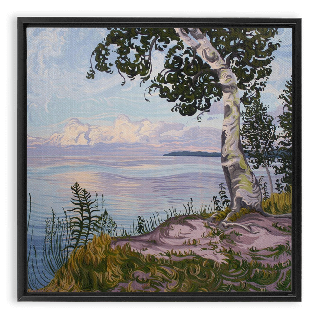 With Love Things Grow Framed Canvas Print - Lake Superior Shoreline - Birch Tree