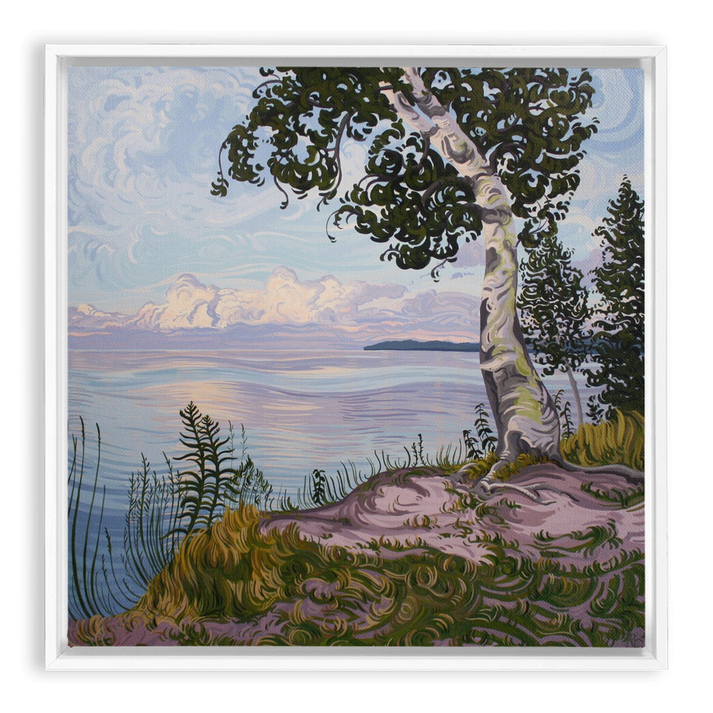Lake Superior Birch Tree Sunset Painting, Framed Canvas Print - “With Love Things Grow”