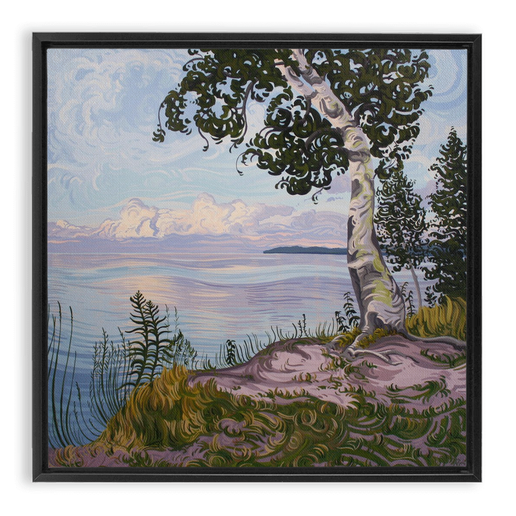 Lake Superior Birch Tree Sunset Painting, Framed Canvas Print - “With Love Things Grow”