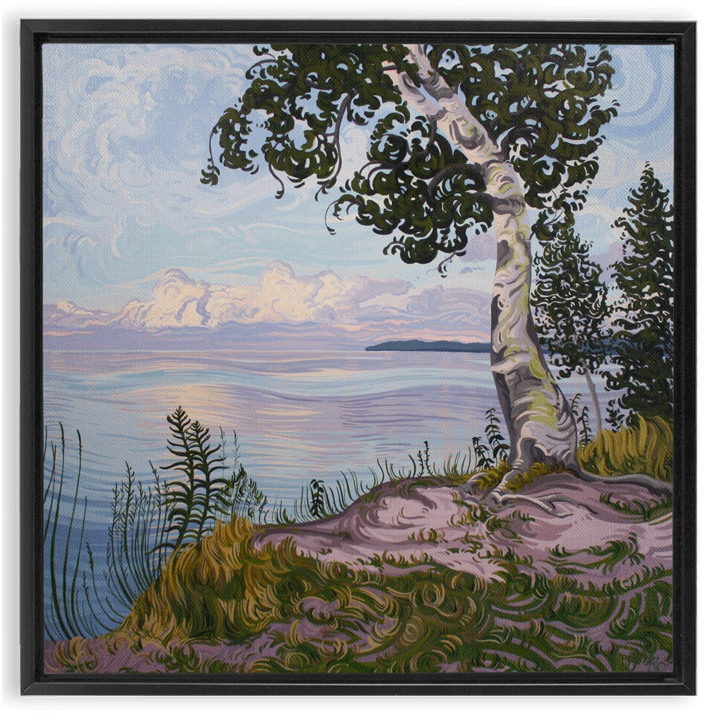 Lake Superior Birch Tree Sunset Painting, Framed Canvas Print - “With Love Things Grow”