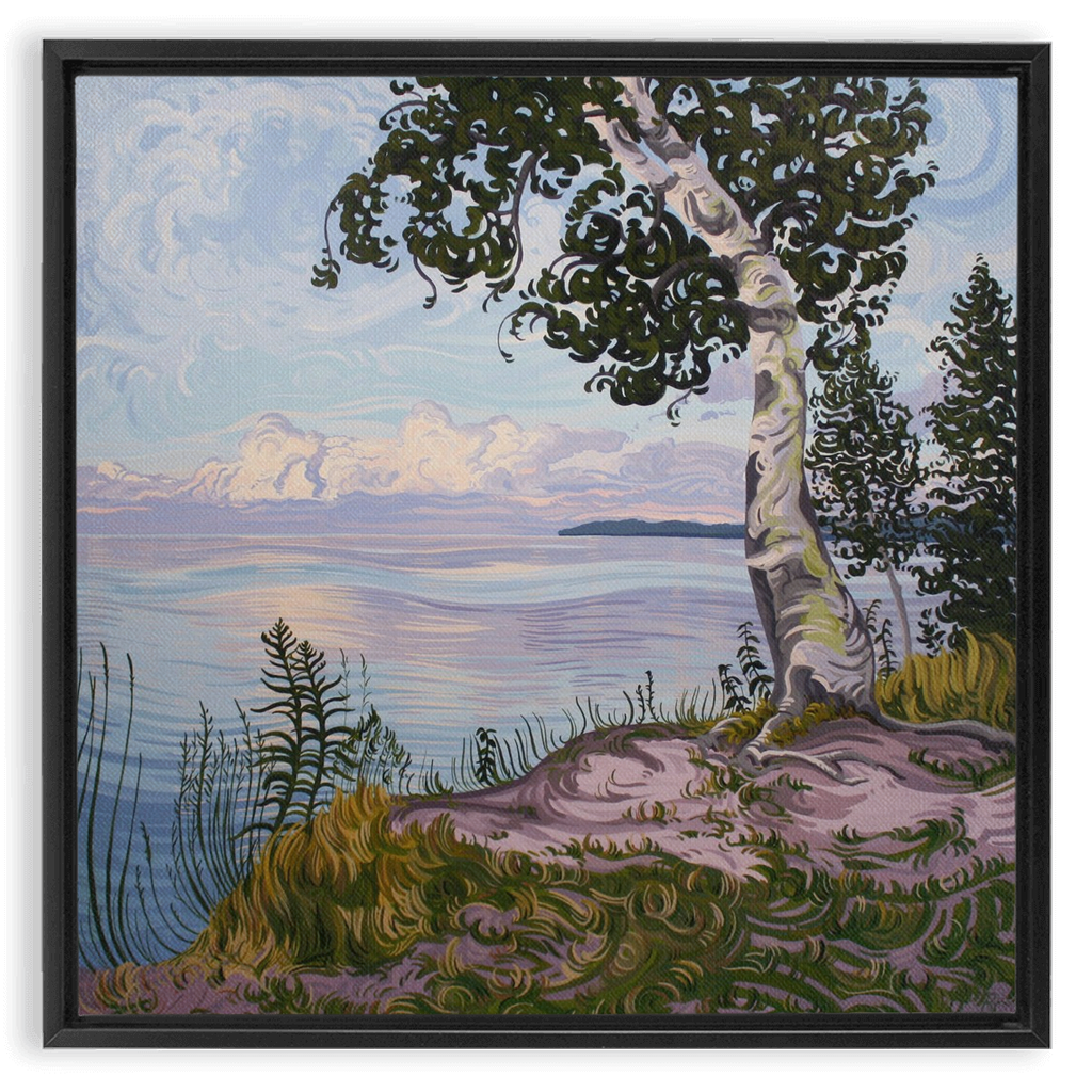 Lake Superior Birch Tree Sunset Painting, Framed Canvas Print - “With Love Things Grow”