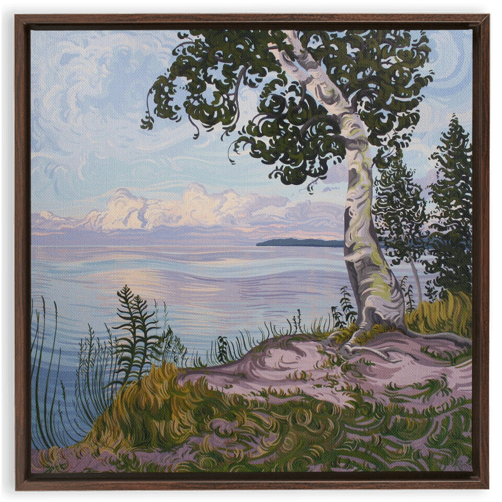 Lake Superior Birch Tree Sunset Painting, Framed Canvas Print - “With Love Things Grow”