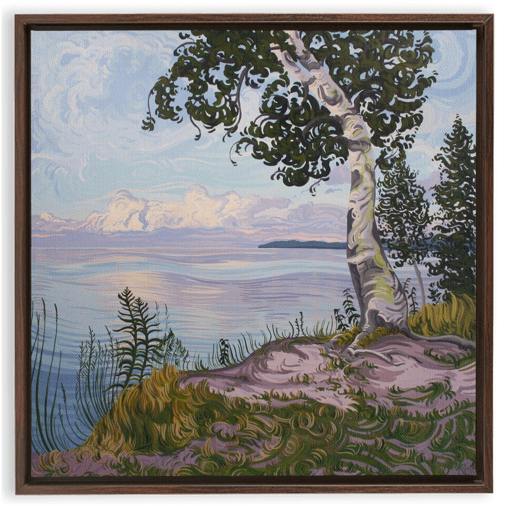 With Love Things Grow Framed Canvas Print - Lake Superior Shoreline - Birch Tree