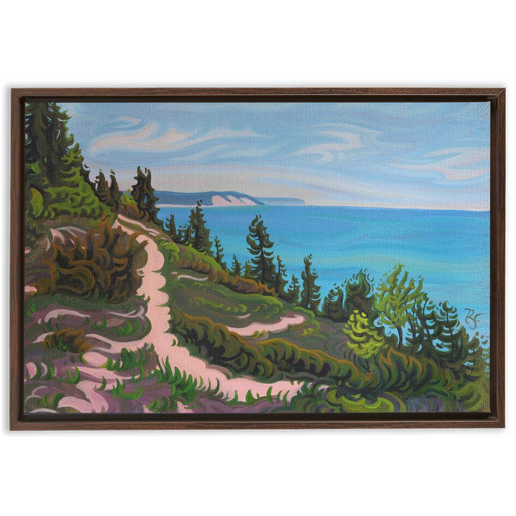 Future Visions - Michigan Dunes - Sleeping Bear - Framed Canvas Prints