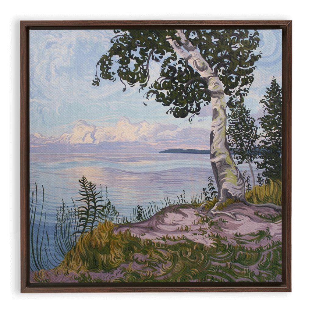 Lake Superior Birch Tree Sunset Painting, Framed Canvas Print - “With Love Things Grow”