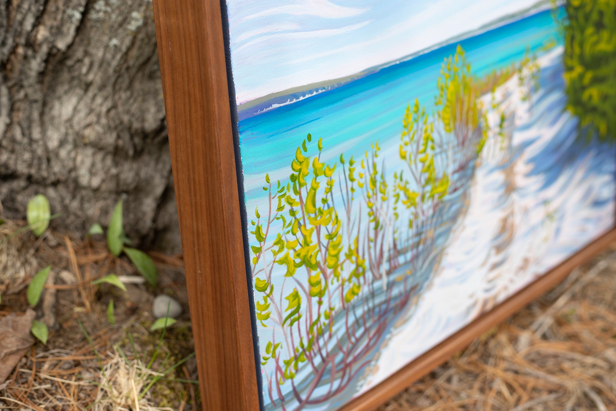 Soft Beaches 16" x 20" Petoskey Beaches