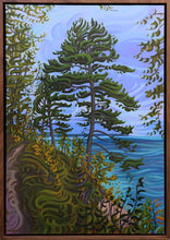 Load image into Gallery viewer, Strong Roots - Michigan’s Pictured Rocks and Pine Trees