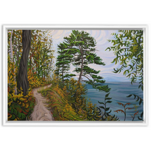 Load image into Gallery viewer, Along the Path - Framed Canvas Print