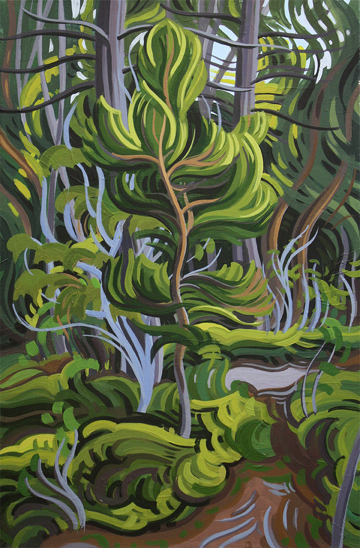 Forest Vibes
