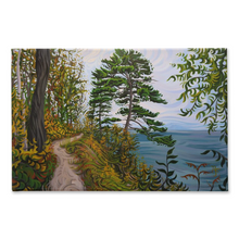 Load image into Gallery viewer, Along the Path Canvas Print
