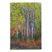 Load image into Gallery viewer, Birch Gove Canvas Print