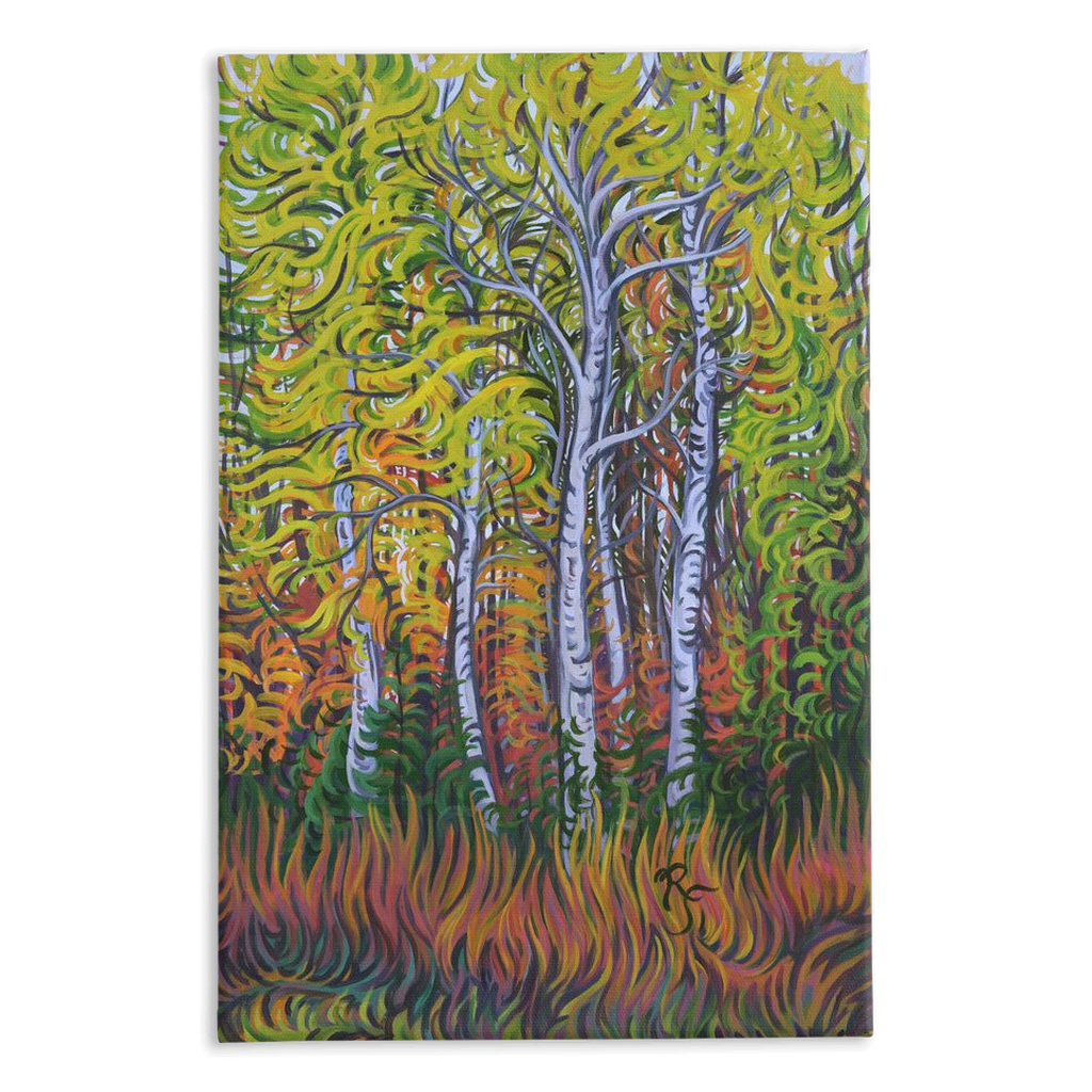Birch Gove Canvas Print